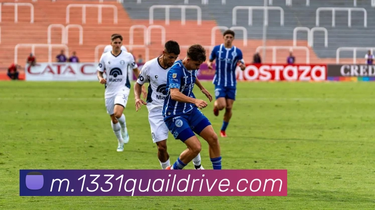 互动解说服务